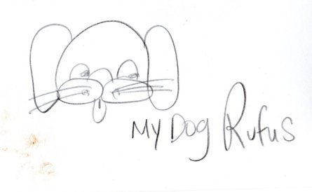 img20190325_15342253