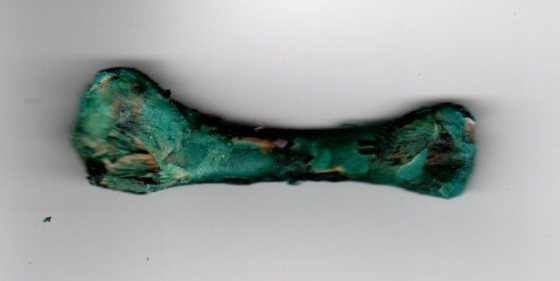 img20190329_18062966